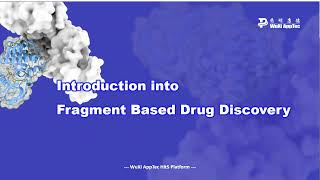 Introduction into Fragment Based Drug Discovery [upl. by Berte]