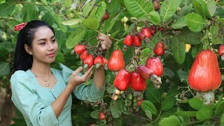 Red cashew fruits in my home land  how to make red cashew fruits salad [upl. by Ytisahc]