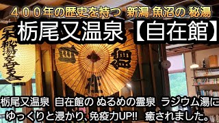 【栃尾又温泉 自在館】自在館は400年前から続く新潟 魚沼の秘湯 ラジウムのぬる湯 極上湯を心ゆくまで堪能し癒された。 [upl. by Yllaw]