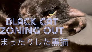 Black Cat Zoning Out黒猫のまったり [upl. by Siusan]