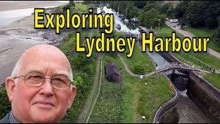 Exploring Lydney Harbour Hidden Gems and Stunning Views [upl. by Kcirredal]