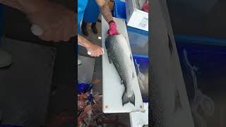 fastest salmon cutter live [upl. by Senzer]