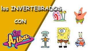 Los animales INVERTEBRADOS para niños primaria con Bob Esponja [upl. by Marcile]