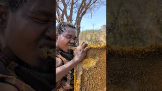 Its breakfast time See how Hadza cooks their favorite meal today 😋😍‼️hadzabetribe food [upl. by Robinett]