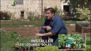 Calendrier du jardinier mai  que faire au jardin ou sur la terrasse  Truffaut [upl. by Maurilia]