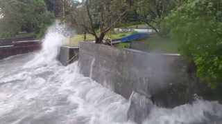 Sturm am Bodensee [upl. by Atterol396]