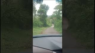 Road trips from Kattappana Kerala [upl. by Hsirehc]