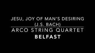 Arco String Quartet Belfast  Jesu Joy of Mans Desiring JS Bach DEMO [upl. by Callas100]