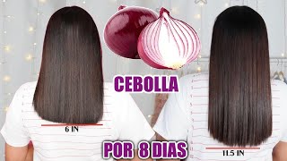 RETO3 CEBOLLA PARA HACER CRECER EL CABELLO Y DETENER LA CAIDA EN 8 DIAS 🧅 [upl. by Ogata]