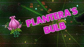 Terraria  HOW TO FIND PLANTERAS BULB [upl. by Mendelsohn]