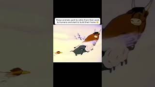 animals have feelings too anime movieexplainedinhindi movie shorts [upl. by Kitchen561]