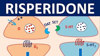 Risperidone  Mechanism side effects precautions amp uses [upl. by Asilahs779]