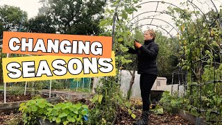 Clearing Beds And Suprise Harvests  Allotment Gardening UK [upl. by Shields]