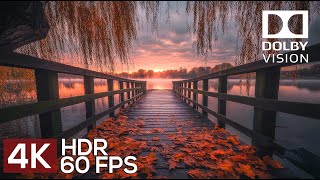 A Journey to the RAW BEAUTY of Nature in 4K HDR 60fps Dolby Vision [upl. by Pepita]