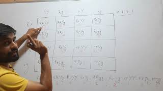 What is Genotypic Ratio of Dihybrid Cross [upl. by Loria]