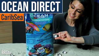 CaribSeas Hidden Gem Oceans Direct Live Sand For Saltwater Aquariums [upl. by Adnilym]