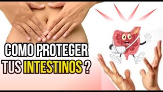 El secreto del intestino que puede SALVAR tu vida bienestar [upl. by Einahpts]