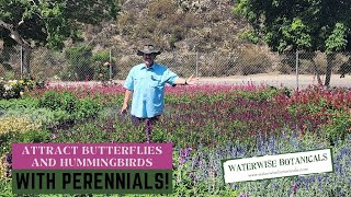 Perennial Destination Waterwise Botanicals [upl. by Smailliw923]