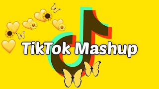 TikTok Mashup 2021 not clean [upl. by Gide]