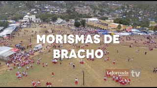 Color  Morismas de Bracho 2016 [upl. by Arak]