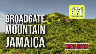 Aerial Tour of the Famous Broadgate Mountain in the Parish of St Mary Jamaica [upl. by Reinold270]