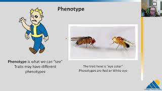 BIOL201 Ch122  Phenotype and Genotype Part 1 [upl. by Donaugh]