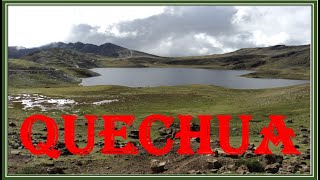 BIENVENIDO QUECHUA [upl. by Piderit214]