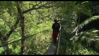 Im celebrity get me out of here 2009 E12 P3 [upl. by Pirozzo]