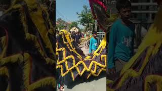 barongsai barongan china karnaval funny [upl. by Mayda991]