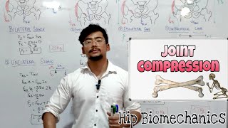 Joint Compression  HIP BIOMECHANICS  PART1 [upl. by Nihi461]