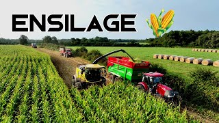 🌽😮 ENSILAGE DE MAÏS 2024  AVEC 13 MACHINES💨💨 [upl. by Nnyleuqcaj]