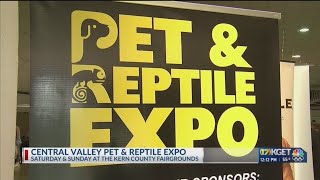 Central Valley Pet and Reptile Expo coming to fairgrounds [upl. by Dnalerb]