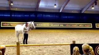 Clinic Frederic Pignon  Horse Event Deurne [upl. by Lazaro]