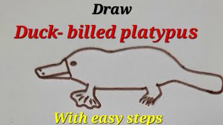 Duck billed platypus drawingDraw buck billed platypus Connecting link between reptiles and mammals [upl. by Onder]