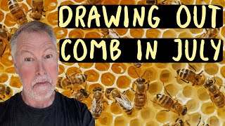 Beekeeping Tips How To Get Frames Drawn Out In July [upl. by Lydnek]