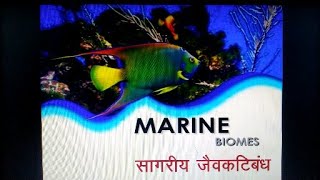 Marine Biozones  Its Concept and Typesby Shristi Shrivastava [upl. by Nosyarg]