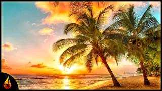 Island Reggae Music  Upbeat Tropics  Tropical Island Beach Music [upl. by Nauqet]