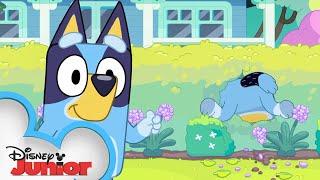 Bluey Season 3 Episode 39 quotExercisequot Episode Clip  disneyjr x BlueyOfficialChannel [upl. by Bartie]