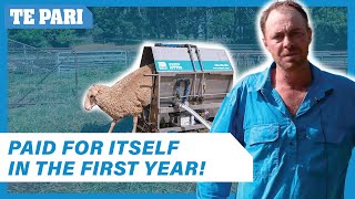 SAVE Money with the Te Pari Sheep Jetter  Aaron Granger [upl. by Tager]