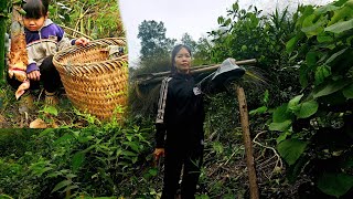 Single mother harvesting bamboo shoots  cooking NhungNewlife [upl. by Onaivatco]