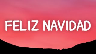 Feliz Navidad  Jose Feliciano Lyrics [upl. by Kerwinn187]