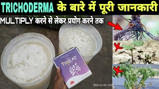 खेती में Trichoderma का प्रयोग Use Of TRICHODERMA Viride in Agriculture Organic FarmingFarmingideas [upl. by Saxet]