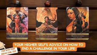 Your Higher Selfs Advice on How To End A Challenge in Your Life [upl. by Coucher]