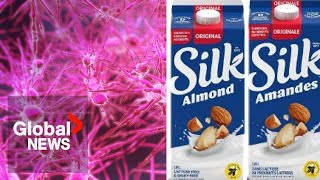 Plantbased milk recall 2 listeriosis deaths reported in Canada [upl. by Atikat985]