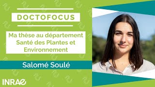 Salomé Soulé  Doctorante INRAE au département Santé des Plantes et Environnement [upl. by Inalaehak139]