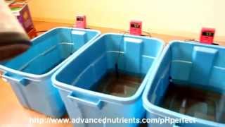 Advanced Nutrients pH Perfect Demonstration [upl. by Skip]