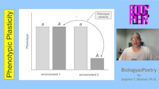 Phenotypic Plasticity [upl. by Adelle]
