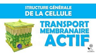 Structure Générale de la Cellule  le Transport Membranaire Actif [upl. by Lopez]