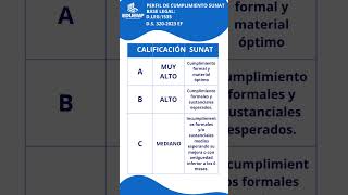 PERFIL DE CUMPLIMIENTO SUNAT 2024 [upl. by Isleana]