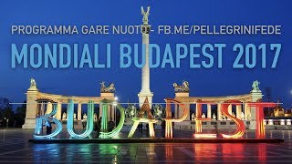 Orari Gare Mondiali Nuoto Budapest 2017 Federica Pellegrini [upl. by Hnahk]